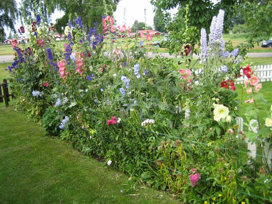 Bakgården  
  
2011-07-17 IMG_0218  
Granudden  
Färjestaden  
Öland