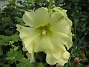  (2011-07-17 IMG_0227)