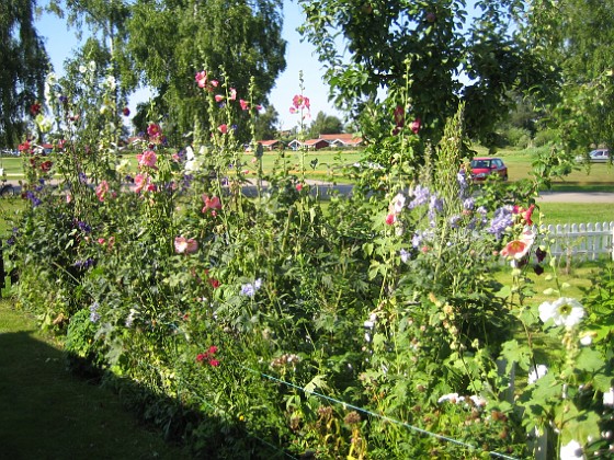 Bakgården  
  
2011-07-25 IMG_0029  
Granudden  
Färjestaden  
Öland