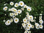  (2012-06-12 IMG_0008)