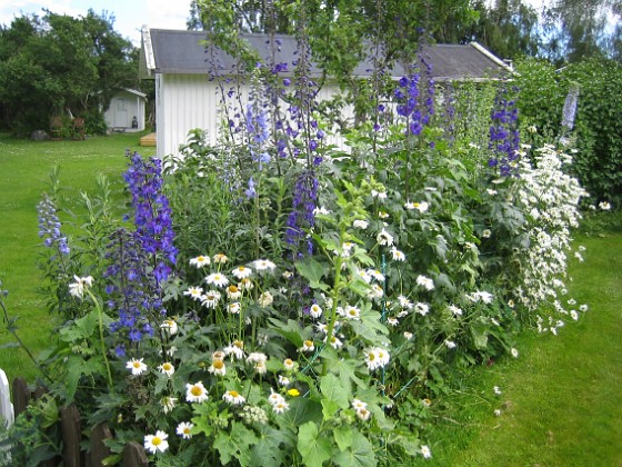   
2012-07-02 IMG_0020  
Granudden  
Färjestaden  
Öland