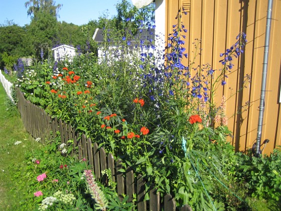   
2012-07-03 IMG_0013  
Granudden  
Färjestaden  
Öland