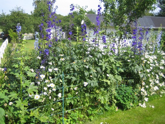   
2012-07-07 IMG_0011  
Granudden  
Färjestaden  
Öland