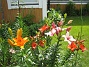  (2012-07-10 IMG_0014)