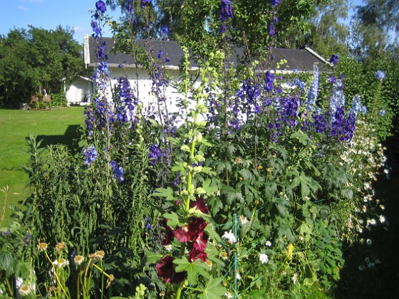   
2012-07-13 IMG_0023  
Granudden  
Färjestaden  
Öland