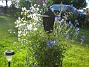 (2012-07-24 IMG_0010)