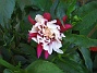  (2012-07-24 IMG_0076)