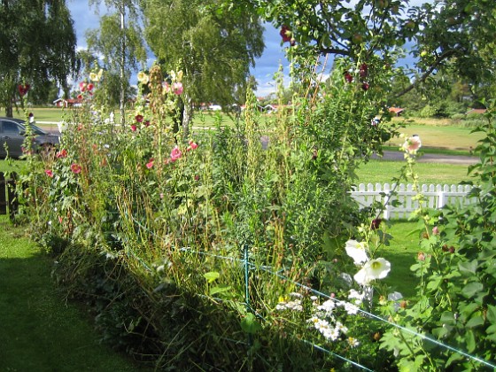   
2012-08-07 IMG_0052  
Granudden  
Färjestaden  
Öland