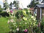 IMG_0014  
  
2012-08-07 IMG_0014