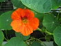  (2012-09-29 IMG_0042)
