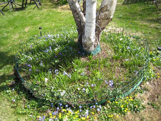   
2013-04-28 IMG_0040  
Granudden  
Färjestaden  
Öland