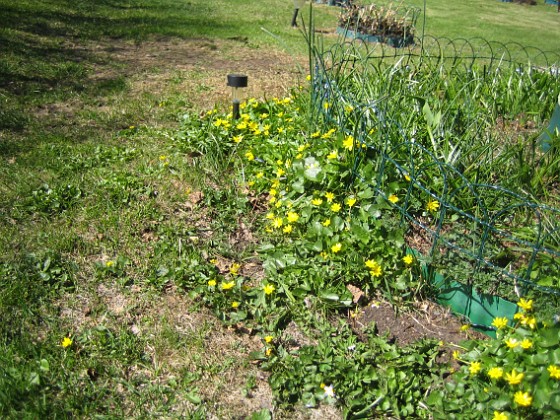   
2013-05-03 IMG_0003  
Granudden  
Färjestaden  
Öland