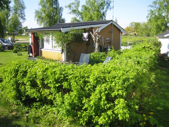 Uteplatsen  
  
2013-05-18 IMG_0030  
Granudden  
Färjestaden  
Öland