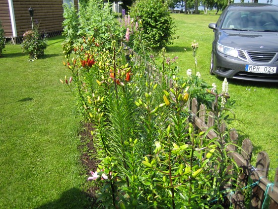   
2013-07-05 IMG_0046  
Granudden  
Färjestaden  
Öland