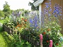 Delphinium (2013-07-09 IMG_0021)