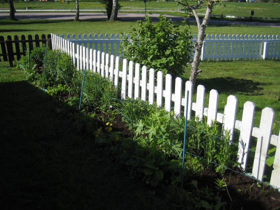 Bakgården 
Jag har slitit en hel del med bakgården och lagt på jord. Denna plantering blev inte så bra förra året och jag behöver nog komplettera lite.