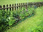 Längre bort längs staketet har jag en plantering med Studentnejlika, Praktriddarsporre och Akleja. (2015-05-30 IMG_0009)