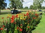 Liljor  
  
2015-07-28 Liljor_0132