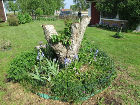 Björken  
                                 
2016-05-22 Björken_0028  
Granudden  
Färjestaden  
Öland