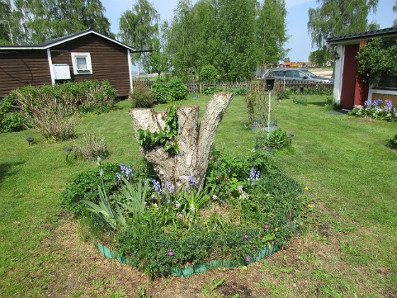 Björken  
                                 
2016-05-22 Björken_0062  
Granudden  
Färjestaden  
Öland