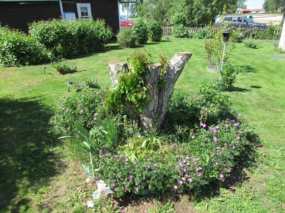 Björken  
                                 
2016-06-05 Björken_0044  
Granudden  
Färjestaden  
Öland