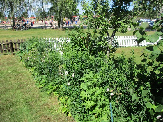 Bakgården  
                                 
2016-06-11 Bakgården_0054  
Granudden  
Färjestaden  
Öland