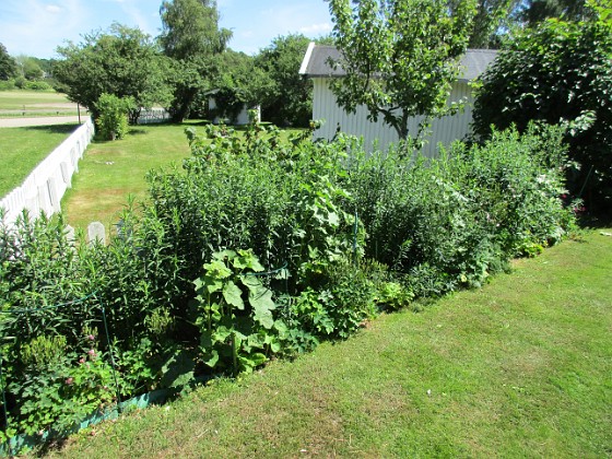 Bakgården  
                                 
2016-06-22 Bakgården_0086  
Granudden  
Färjestaden  
Öland