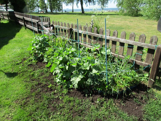                                  
2017-05-27 IMG_0033  
Granudden  
Färjestaden  
Öland