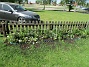 IMG_0032  
                                 
2017-05-27 IMG_0032