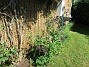 IMG_0026  
                                 
2017-06-06 IMG_0026