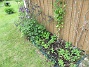 IMG_0037  
                                 
2017-06-22 IMG_0037