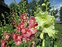 Stockros  
                                 
2017-07-14 Stockros 11