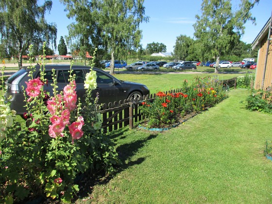 Stockros  
                                 
2017-07-19 Stockros 21  
Granudden  
Färjestaden  
Öland