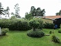                                 (2017-08-11 Granudden_0035)