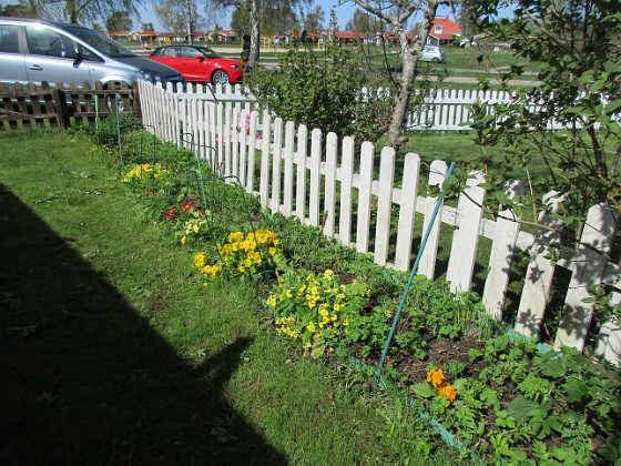 Bakgården 
                               