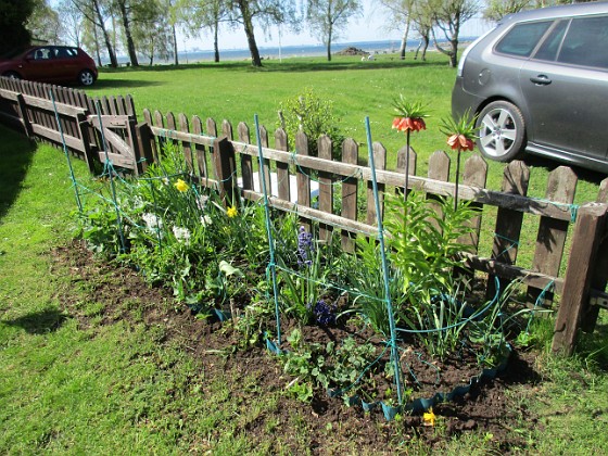 Här kommer det så småningom att vankas Stockrosor och i bästa fall någon Pion.                                 
2018-05-06 IMG_0005  
Granudden  
Färjestaden  
Öland