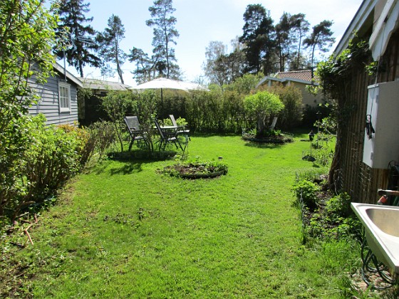 Här fanns tidigare Rabarber och krusbärsbuskar. Men i höstas så jämnade jag dem med marken och sådde gräs istället.                                 
2018-05-06 IMG_0046  
Granudden  
Färjestaden  
Öland