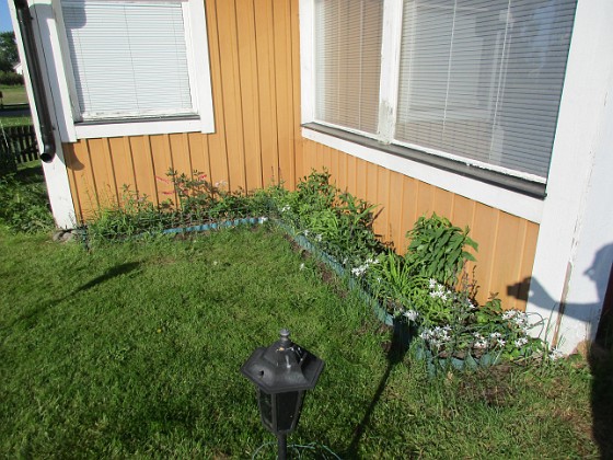 Vinkeln  
Inte mycket blommor ännu. Men här blir det Praktlysing, Salvia, Daglilja mm.                                 
2018-05-25 Vinkeln_0002  
Granudden  
Färjestaden  
Öland