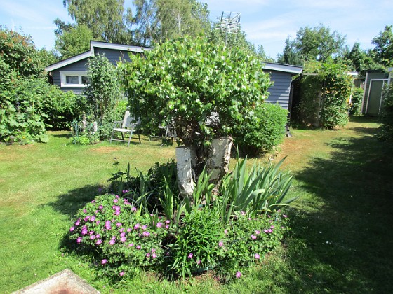 Björken  
                                 
2018-06-14 Björken_0056  
Granudden  
Färjestaden  
Öland