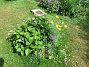 IMG_0026  
                                 
2018-06-19 IMG_0026