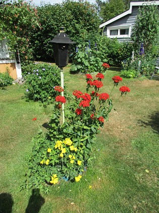                                  
2018-06-24 IMG_0031  
Granudden  
Färjestaden  
Öland