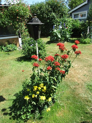                                  
2018-06-26 IMG_0035  
Granudden  
Färjestaden  
Öland