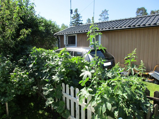   
2019-06-14 Granudden_0009  
Granudden  
Färjestaden  
Öland