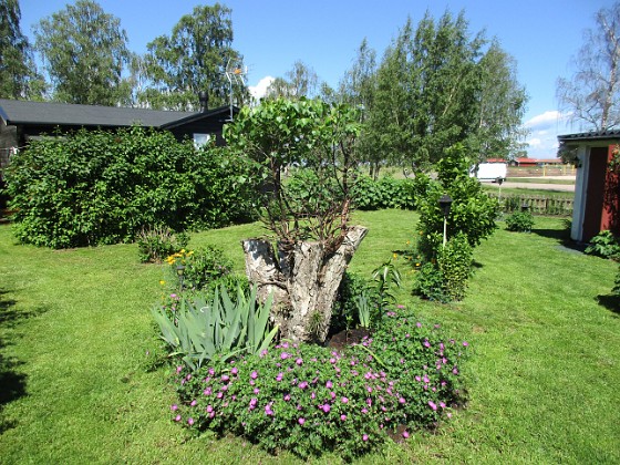 Granudden  
                                 
2019-06-14 Granudden_0045  
Granudden  
Färjestaden  
Öland