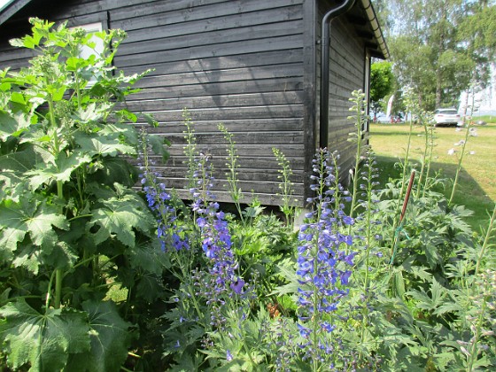 Granudden  
                                 
2019-06-26 Granudden_0022  
Granudden  
Färjestaden  
Öland