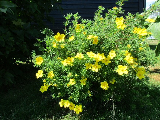 Ölandstok  
                                 
2019-06-27 Ölandstok_0018  
Granudden  
Färjestaden  
Öland