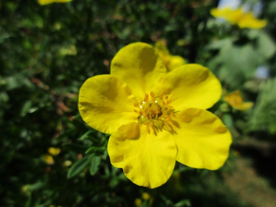 Ölandstok  
                                 
2019-06-27 Ölandstok_0024  
Granudden  
Färjestaden  
Öland