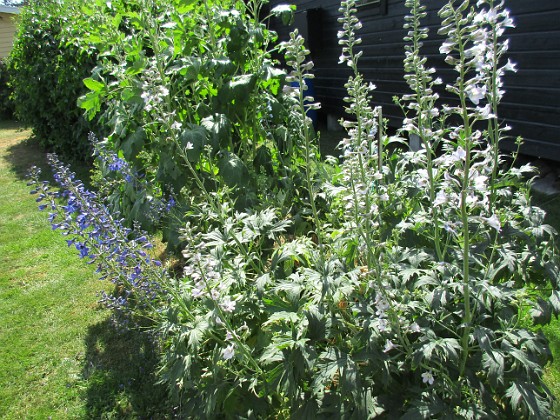 Granudden  
                                 
2019-06-29 Granudden_0060  
Granudden  
Färjestaden  
Öland