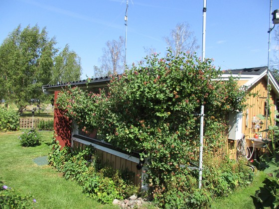 Huset  
                                 
2019-06-29 Huset_0042  
Granudden  
Färjestaden  
Öland