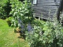                                 (2019-06-29 Granudden_0004)